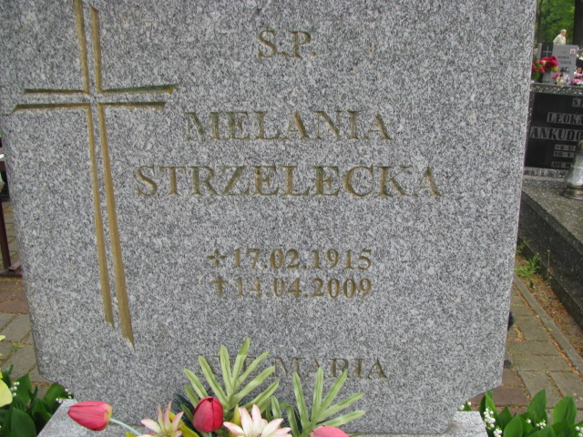 Melania Strzelecka 1915 Kostrzyn nad Odrą - Grobonet - Wyszukiwarka osób pochowanych