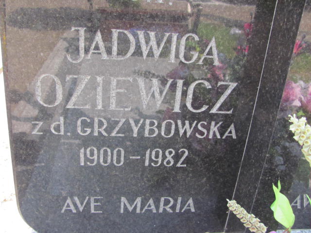 Stanisława Oziewicz 1910 Kostrzyn nad Odrą - Grobonet - Wyszukiwarka osób pochowanych