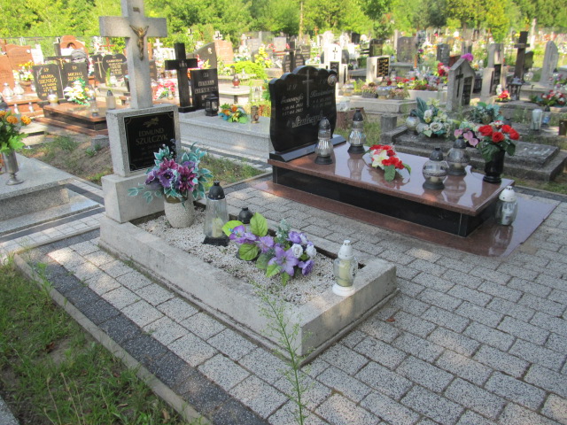 Tadeusz Szulczyk 1954 Kostrzyn nad Odrą - Grobonet - Wyszukiwarka osób pochowanych