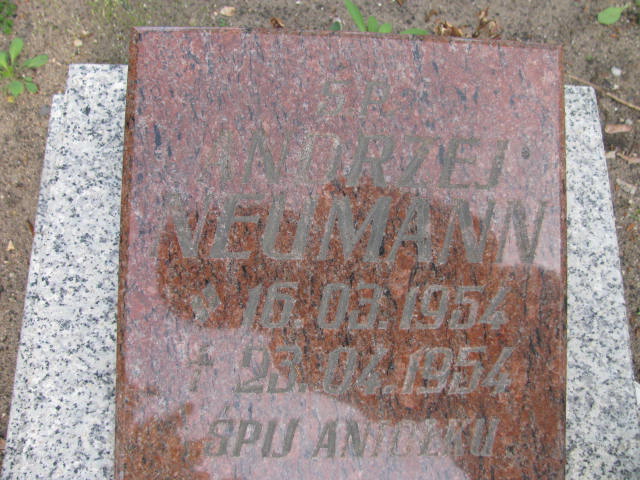 Andrzej Neumann 1954 Kostrzyn nad Odrą - Grobonet - Wyszukiwarka osób pochowanych