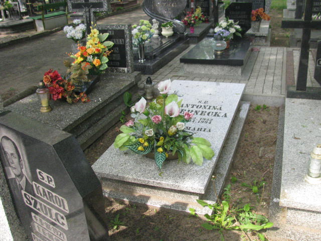 Grób Antonina Czernecka
